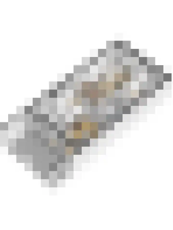 Mgr.Hermuslaan 99 A Sint-Michielsgestel thumbnail 57