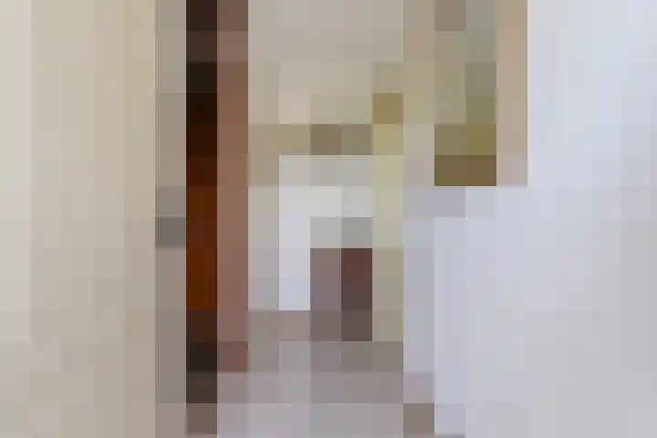 Mgr.Hermuslaan 99 A Sint-Michielsgestel thumbnail 8