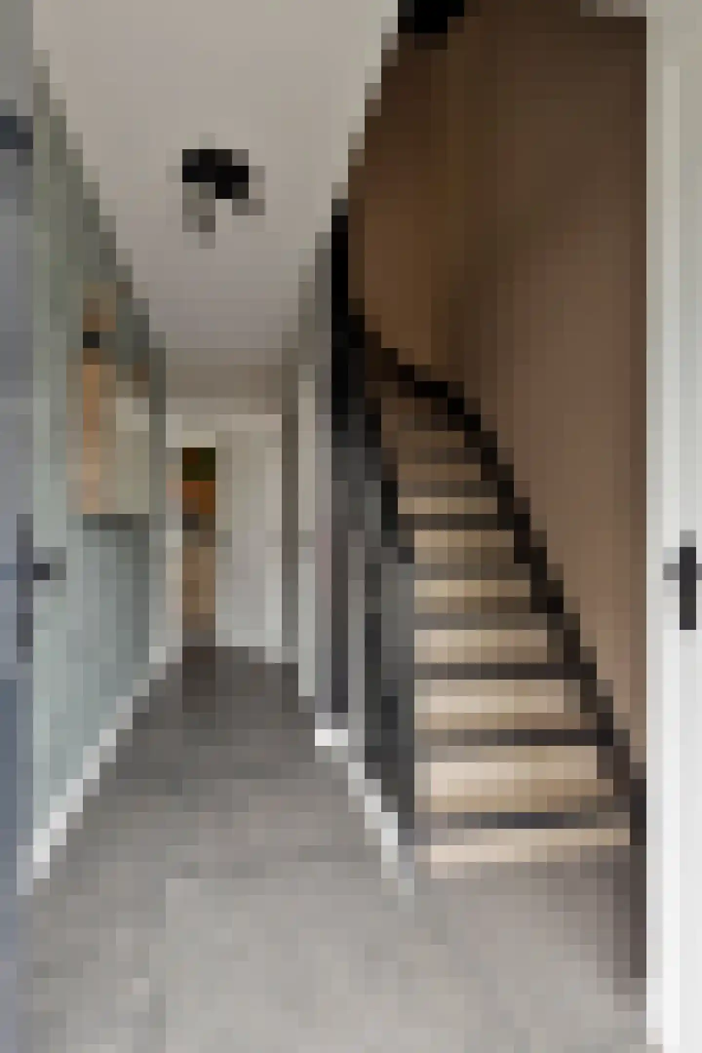Mgr. Hilhorststraat 39 Gemert thumbnail 6