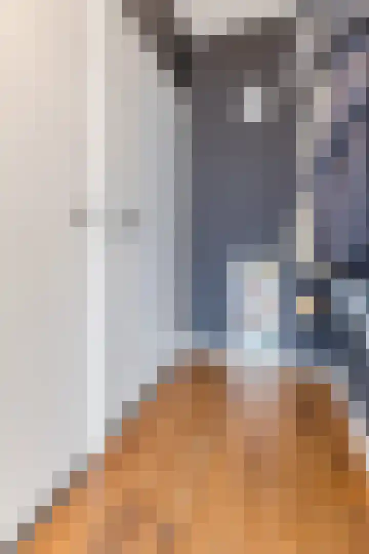 Mgr. Hilhorststraat 41 Gemert thumbnail 8