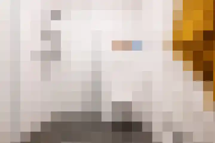 Mgr. Hoogveldplein 1 Utrecht thumbnail 31