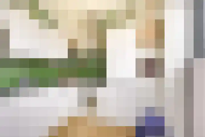 Mgr. Hoogveldplein 1 Utrecht thumbnail 5