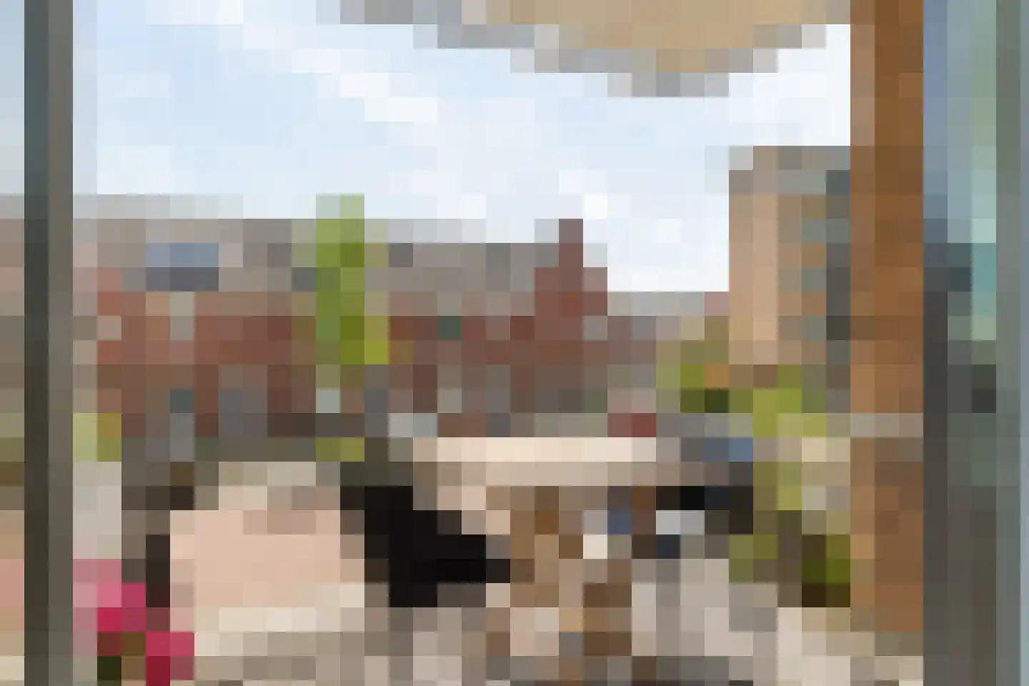Mgr. Horsthuisstraat 19 Breda thumbnail 19