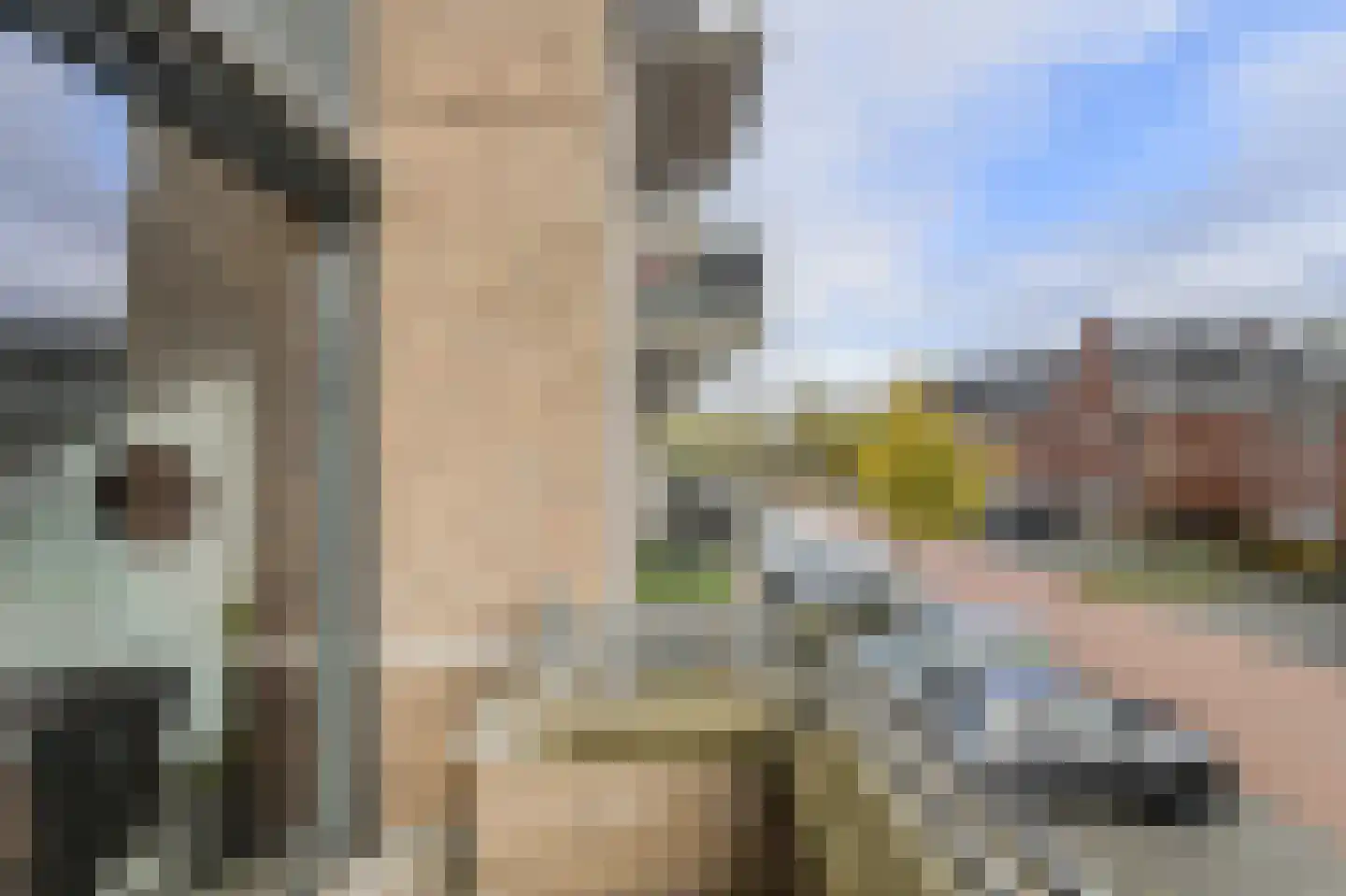 Mgr. Horsthuisstraat 27 Breda thumbnail 32