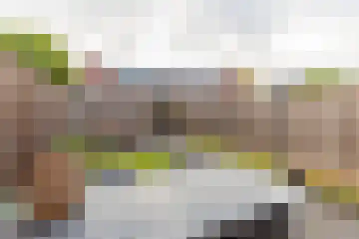 Mgr. Horsthuisstraat 28 Breda thumbnail 31