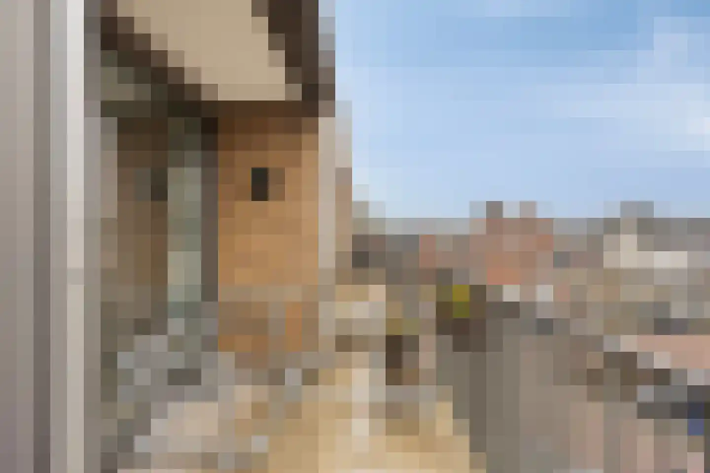 Mgr. Horsthuisstraat 3 D4 Breda thumbnail 13