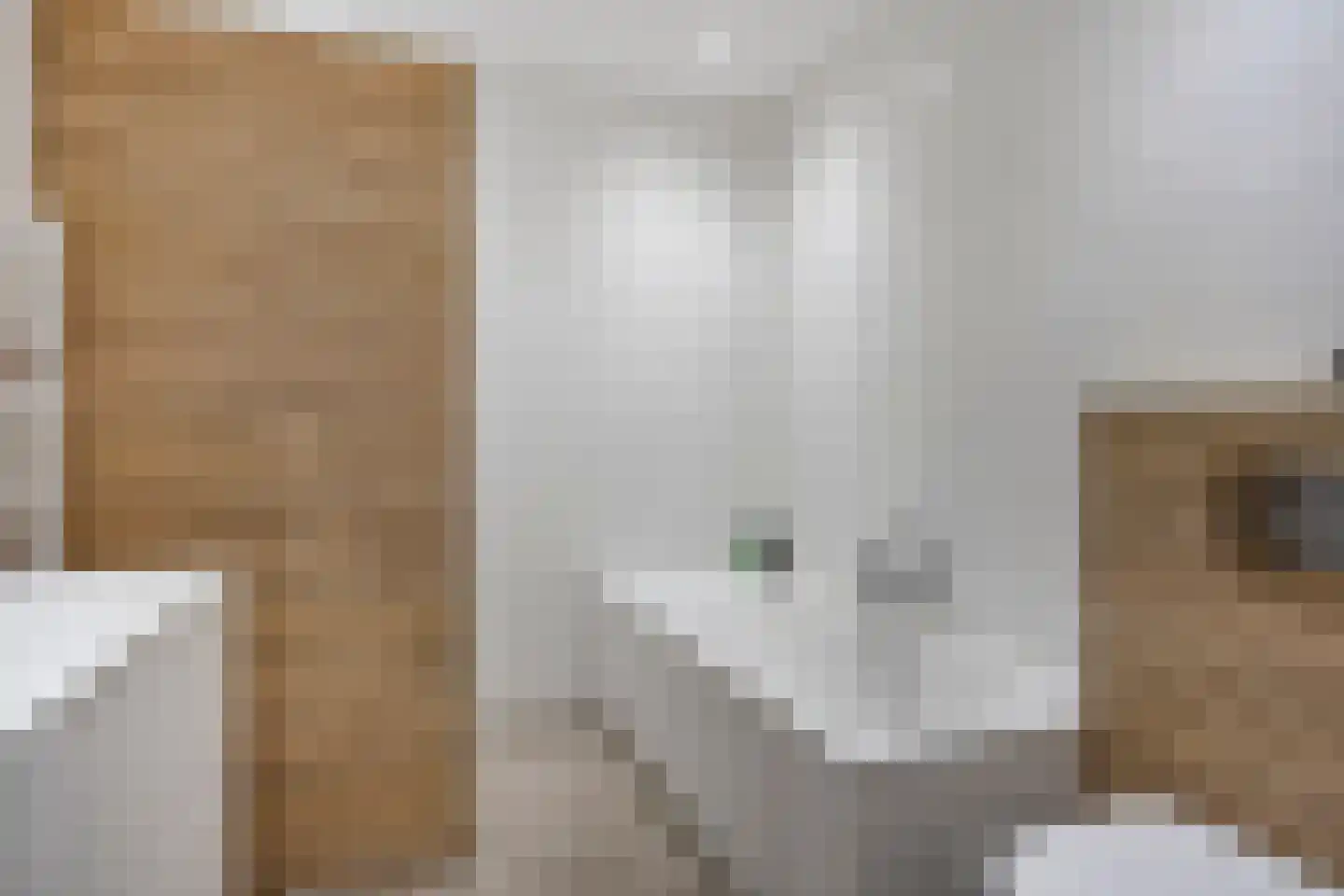 Mgr. Horsthuisstraat 3 D4 Breda thumbnail 19