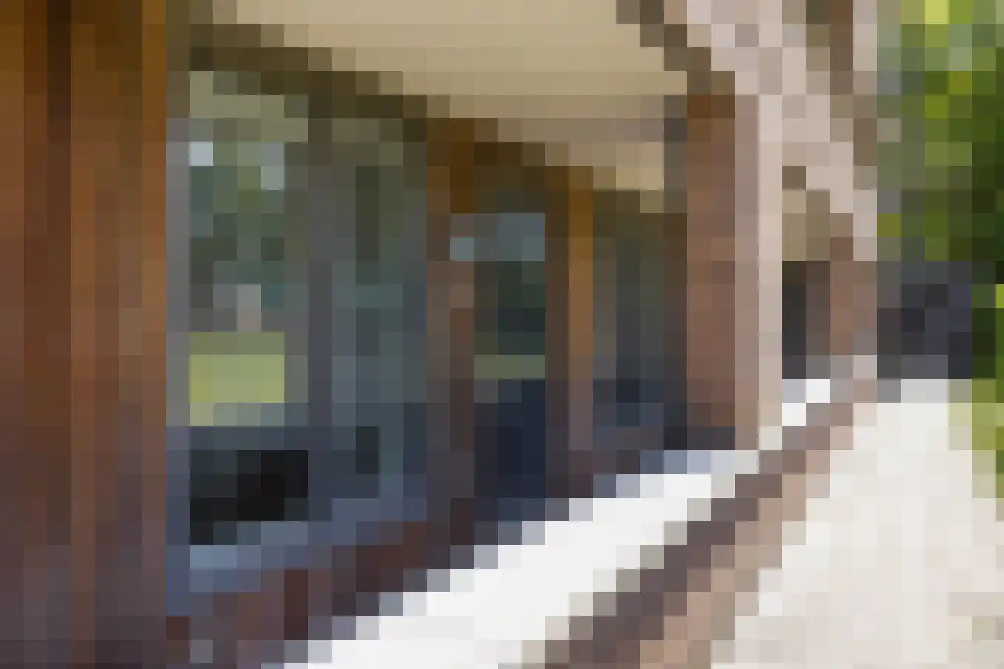 Mgr. Horsthuisstraat 9 Breda thumbnail 31