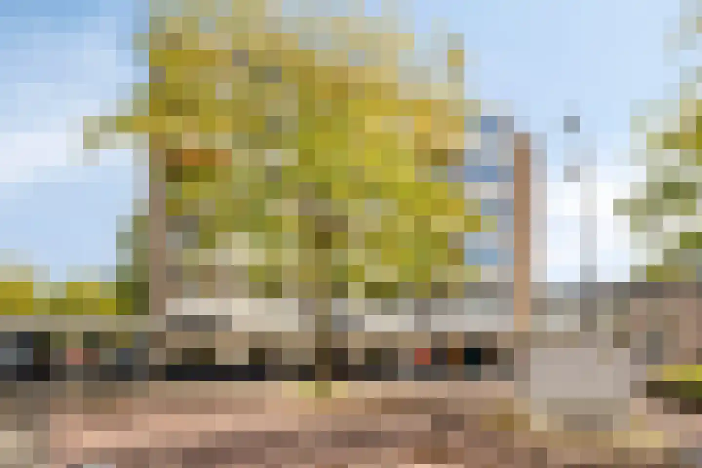 Mgr. Leijtenstraat 26 Breda thumbnail 25