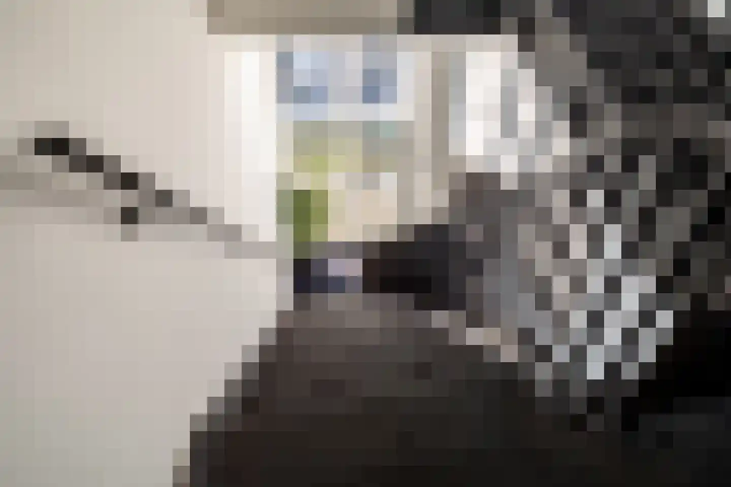 Mgr. Leijtenstraat 51 Breda thumbnail 11