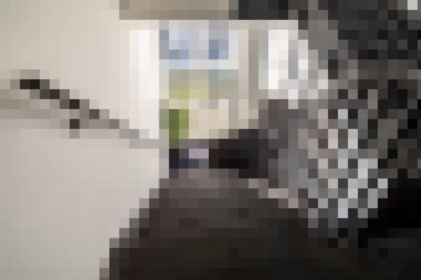 Mgr. Leijtenstraat 51 Breda thumbnail 11