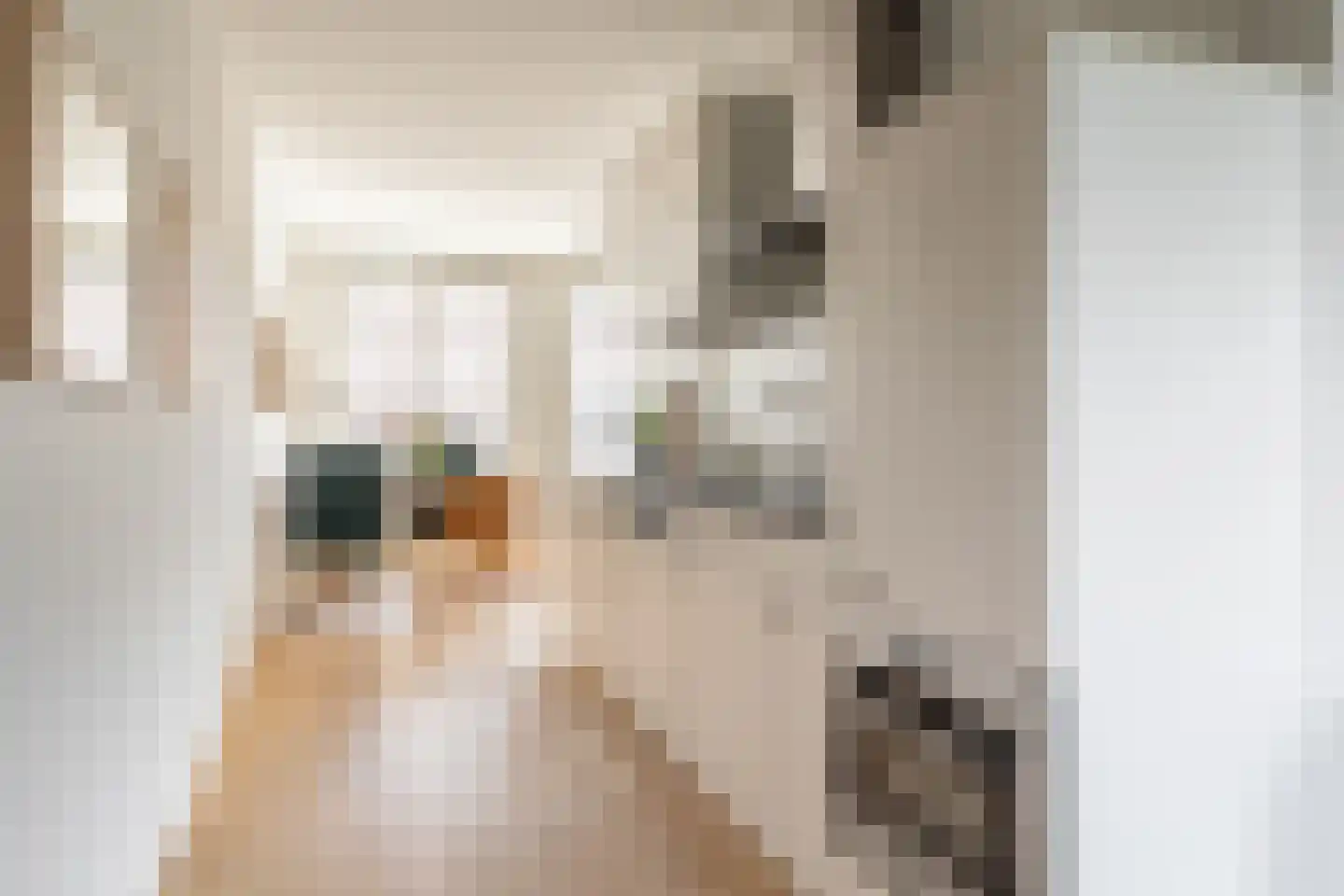 Mgr. Leijtenstraat 51 Breda thumbnail 22