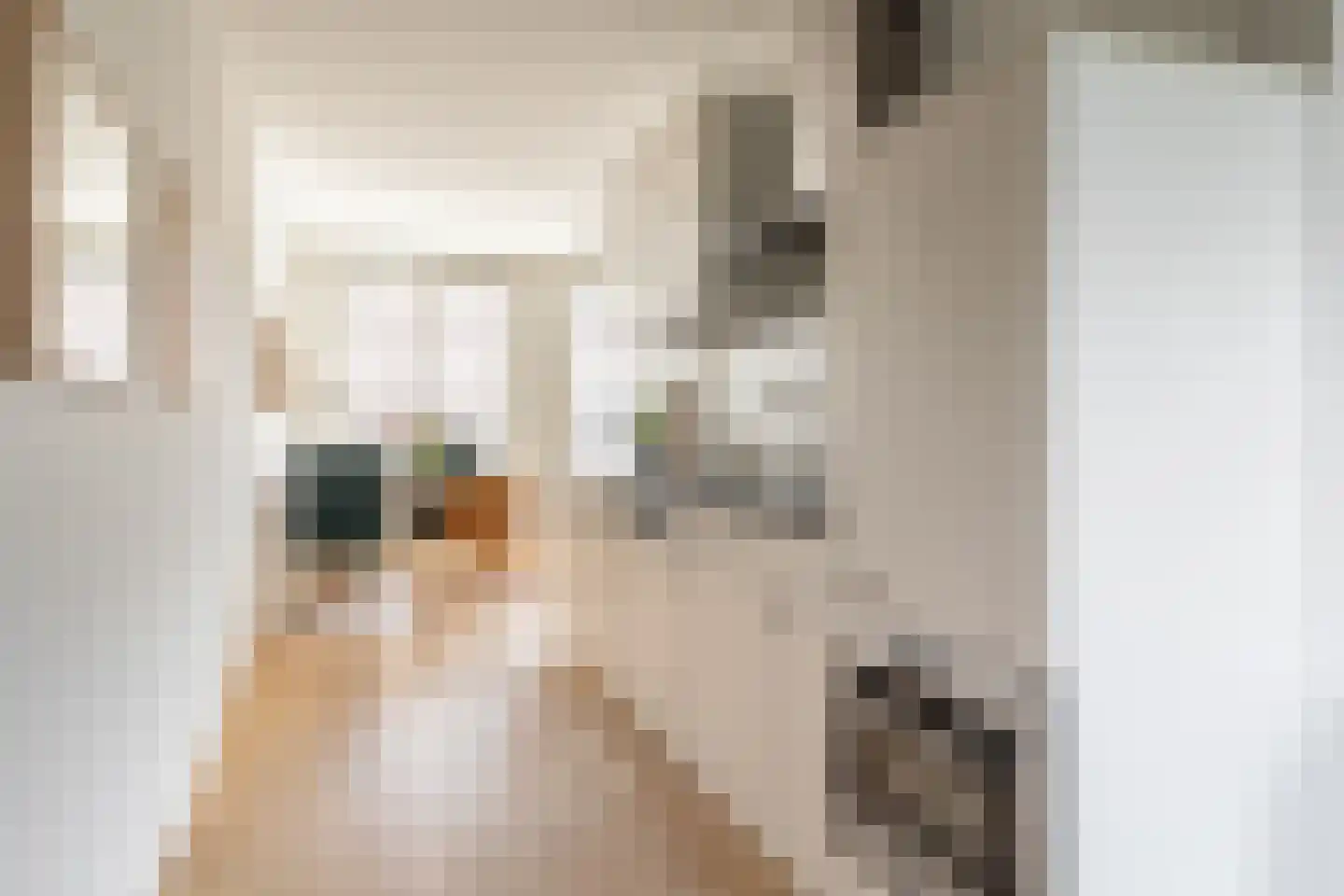 Mgr. Leijtenstraat 51 Breda thumbnail 22