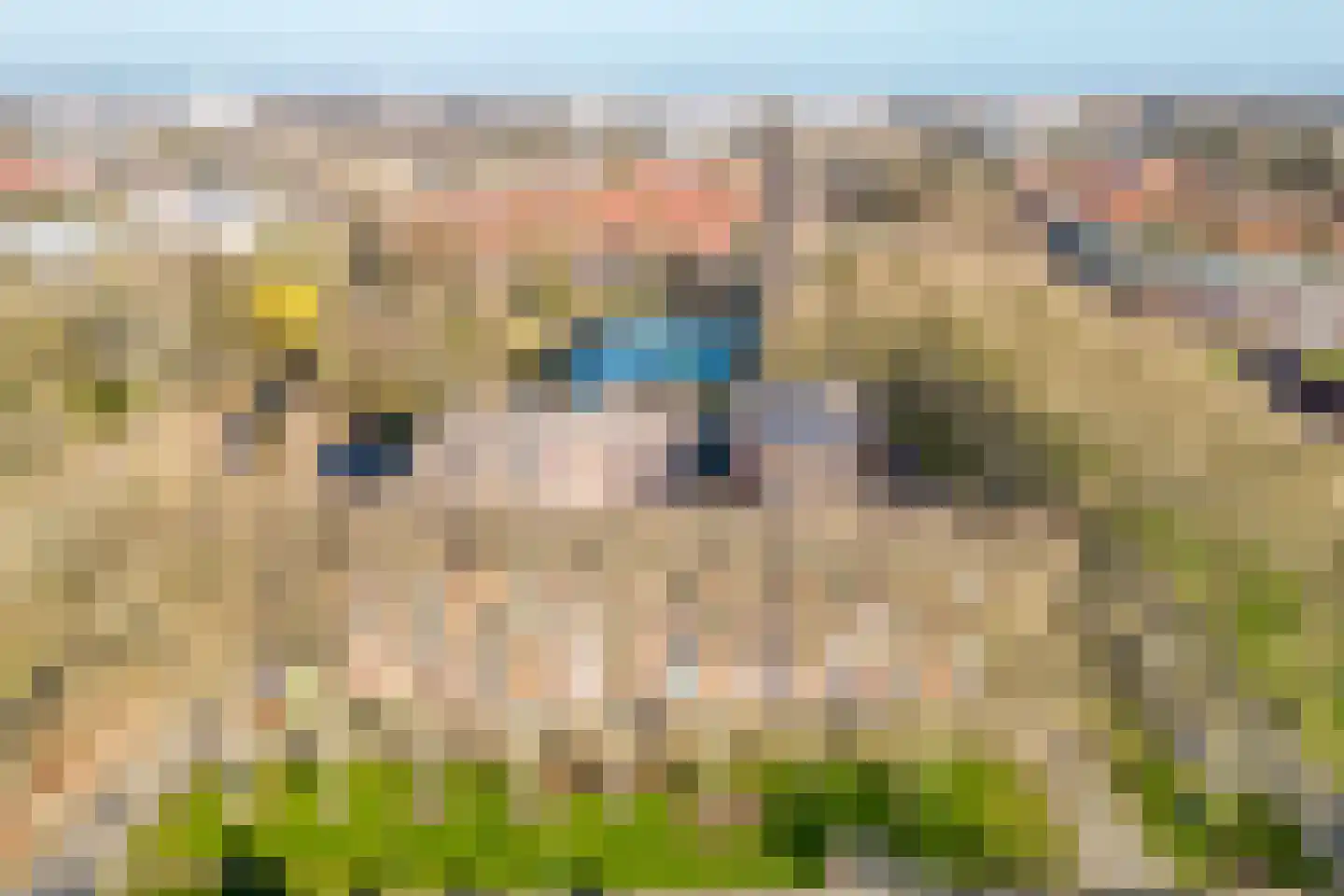 Mgr. Leijtenstraat 51 Breda thumbnail 39