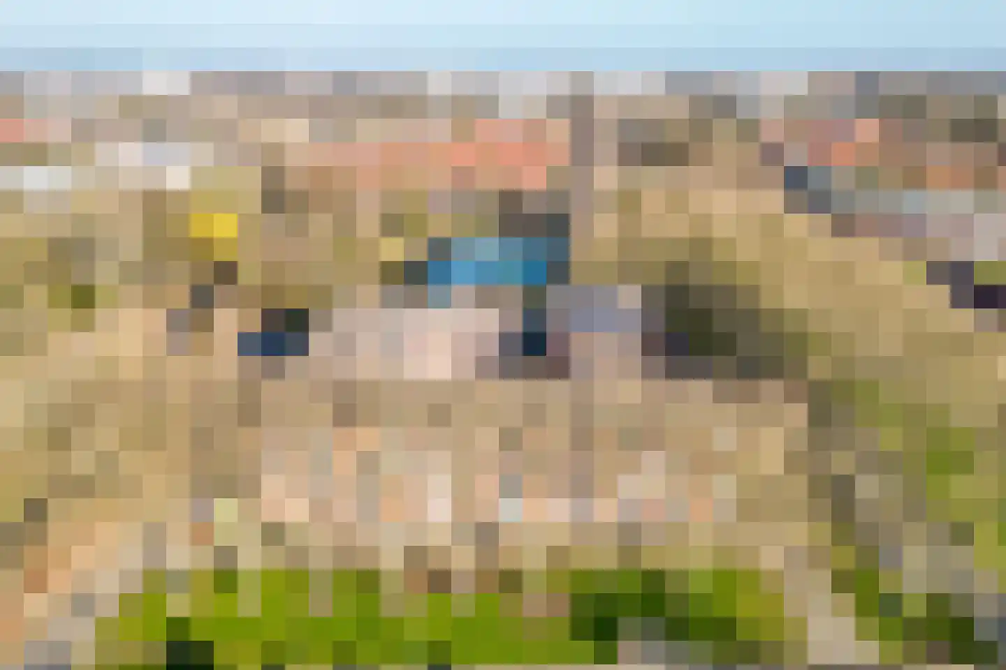Mgr. Leijtenstraat 51 Breda thumbnail 39