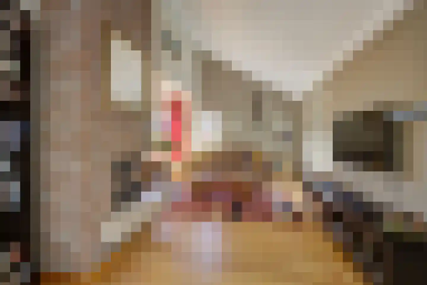 Mgr. Nelislaan 8 Hoeven thumbnail 10