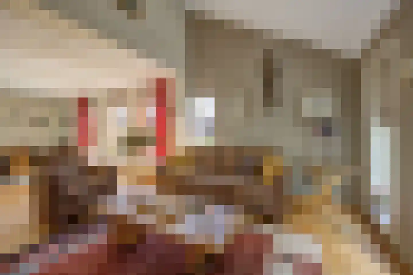 Mgr. Nelislaan 8 Hoeven thumbnail 11
