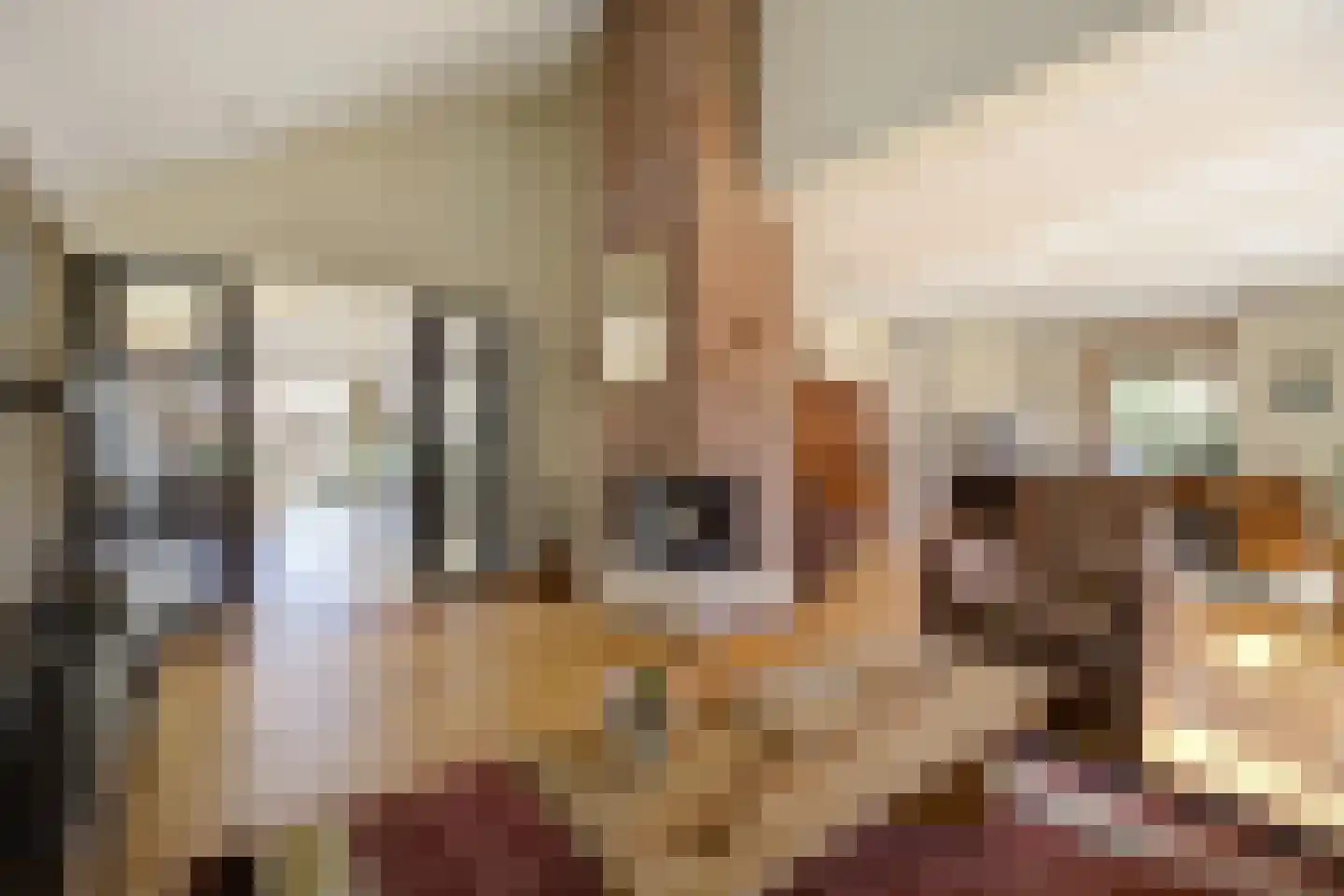 Mgr. Nelislaan 8 Hoeven thumbnail 12