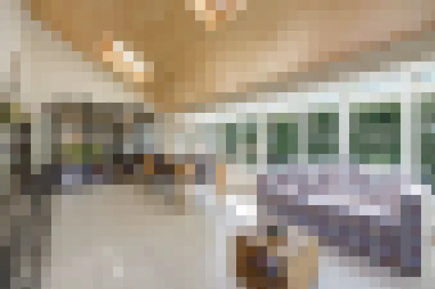 Mgr. Nelislaan 8 Hoeven thumbnail 18