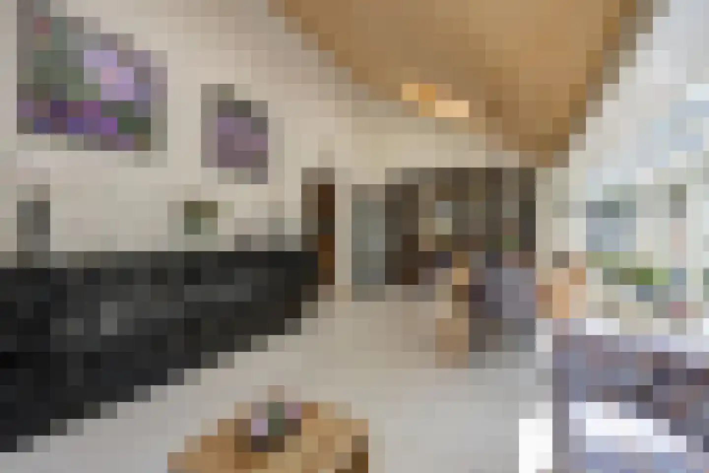 Mgr. Nelislaan 8 Hoeven thumbnail 19