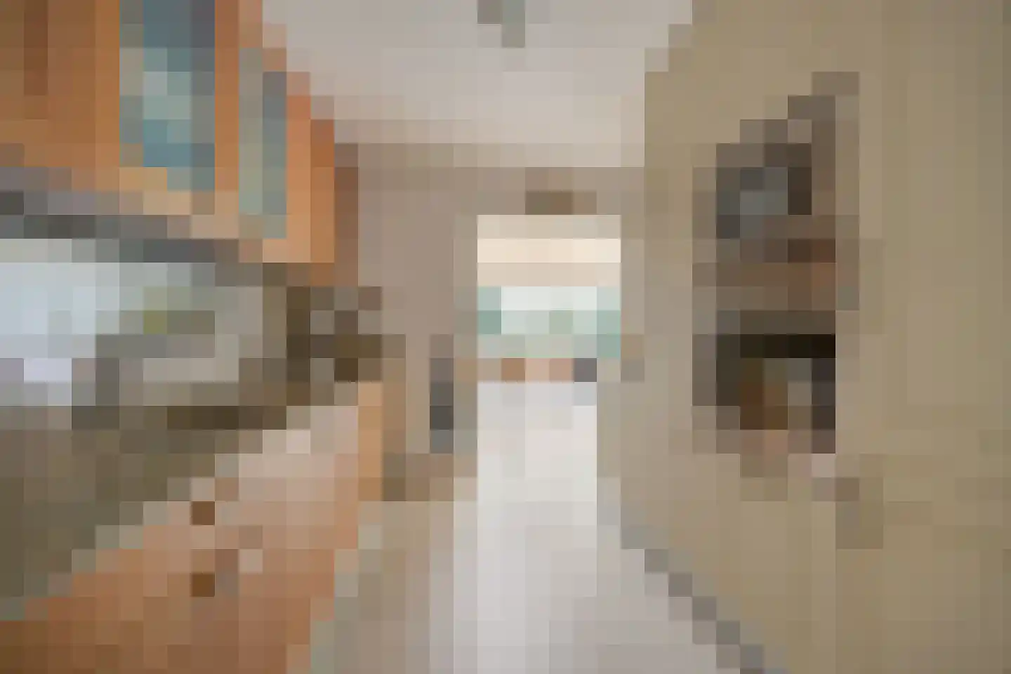 Mgr. Nelislaan 8 Hoeven thumbnail 22