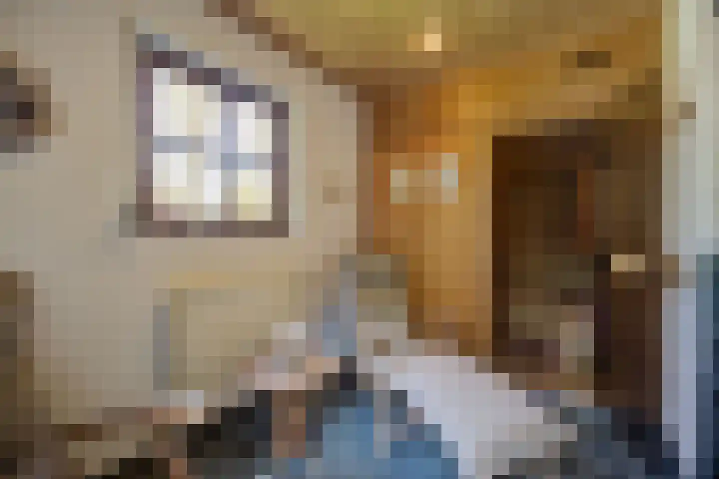 Mgr. Nelislaan 8 Hoeven thumbnail 32