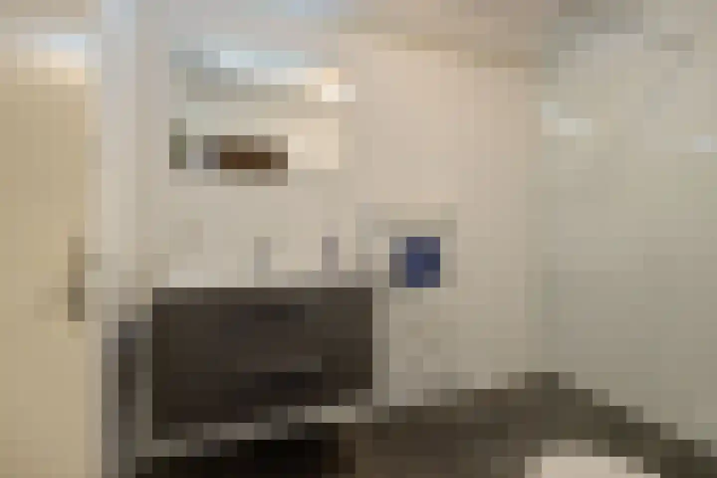 Mgr. Nelislaan 8 Hoeven thumbnail 45