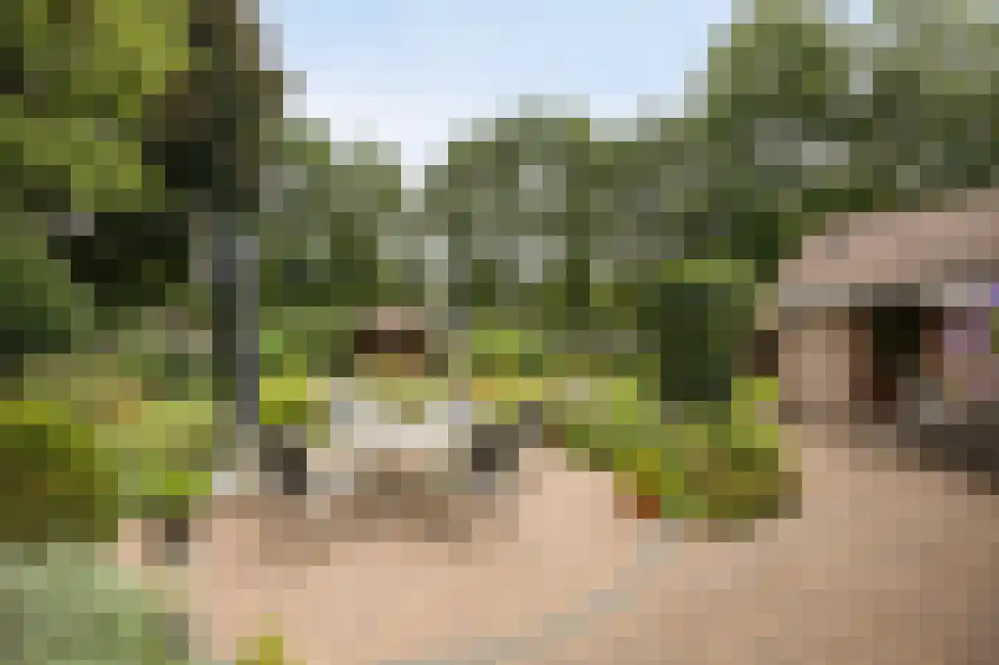 Mgr. Nelislaan 8 Hoeven thumbnail 47