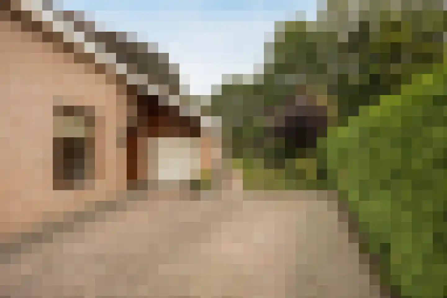 Mgr. Nelislaan 8 Hoeven thumbnail 5