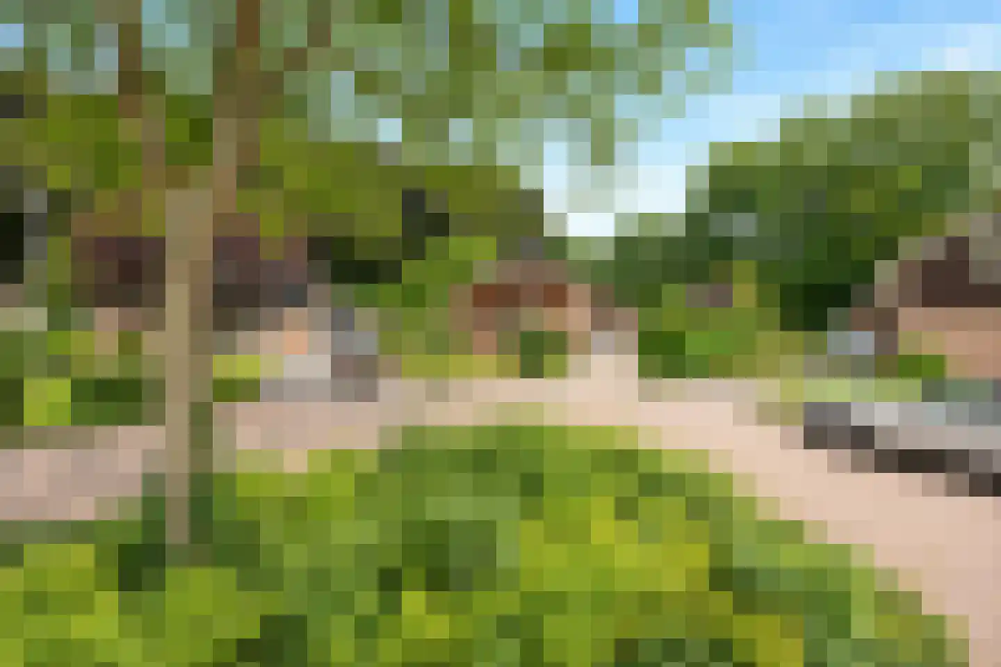 Mgr. Nelislaan 8 Hoeven thumbnail 57