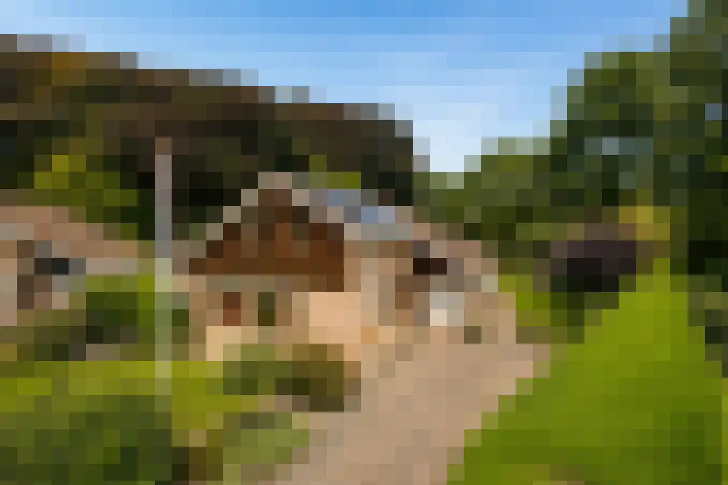 Mgr. Nelislaan 8 Hoeven thumbnail 58