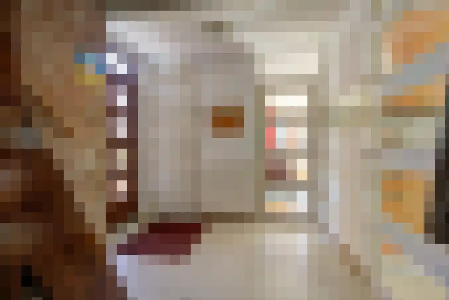 Mgr. Nelislaan 8 Hoeven thumbnail 6