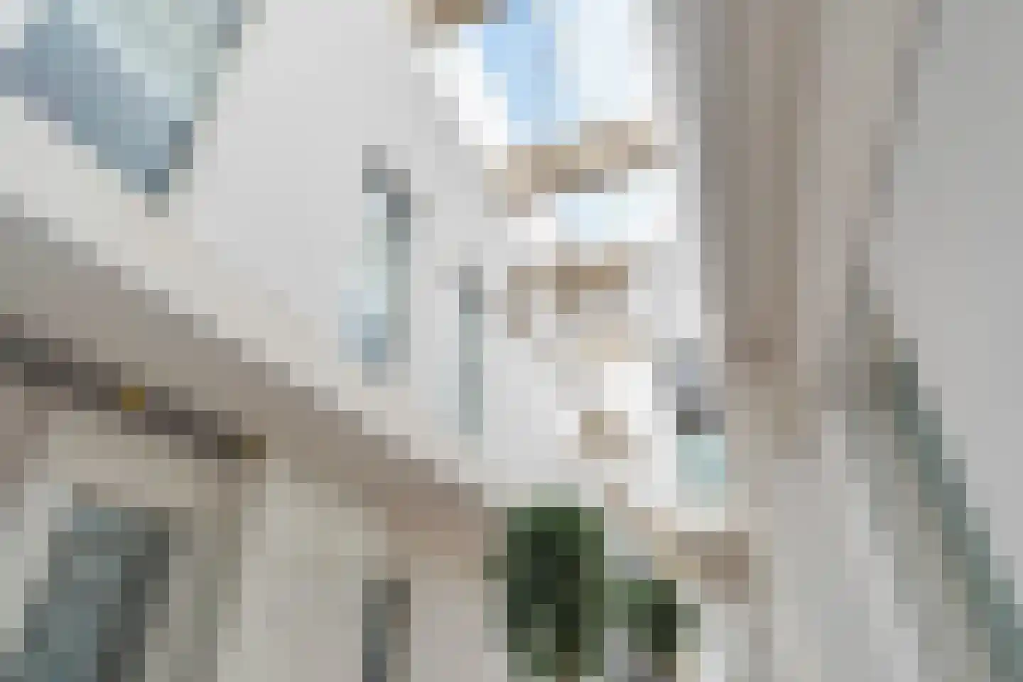 Mgr. Nolenslaan 8 A Den Haag thumbnail 6