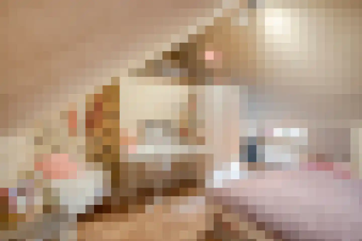 Mgr.Nolensplein 10 Eygelshoven thumbnail 26