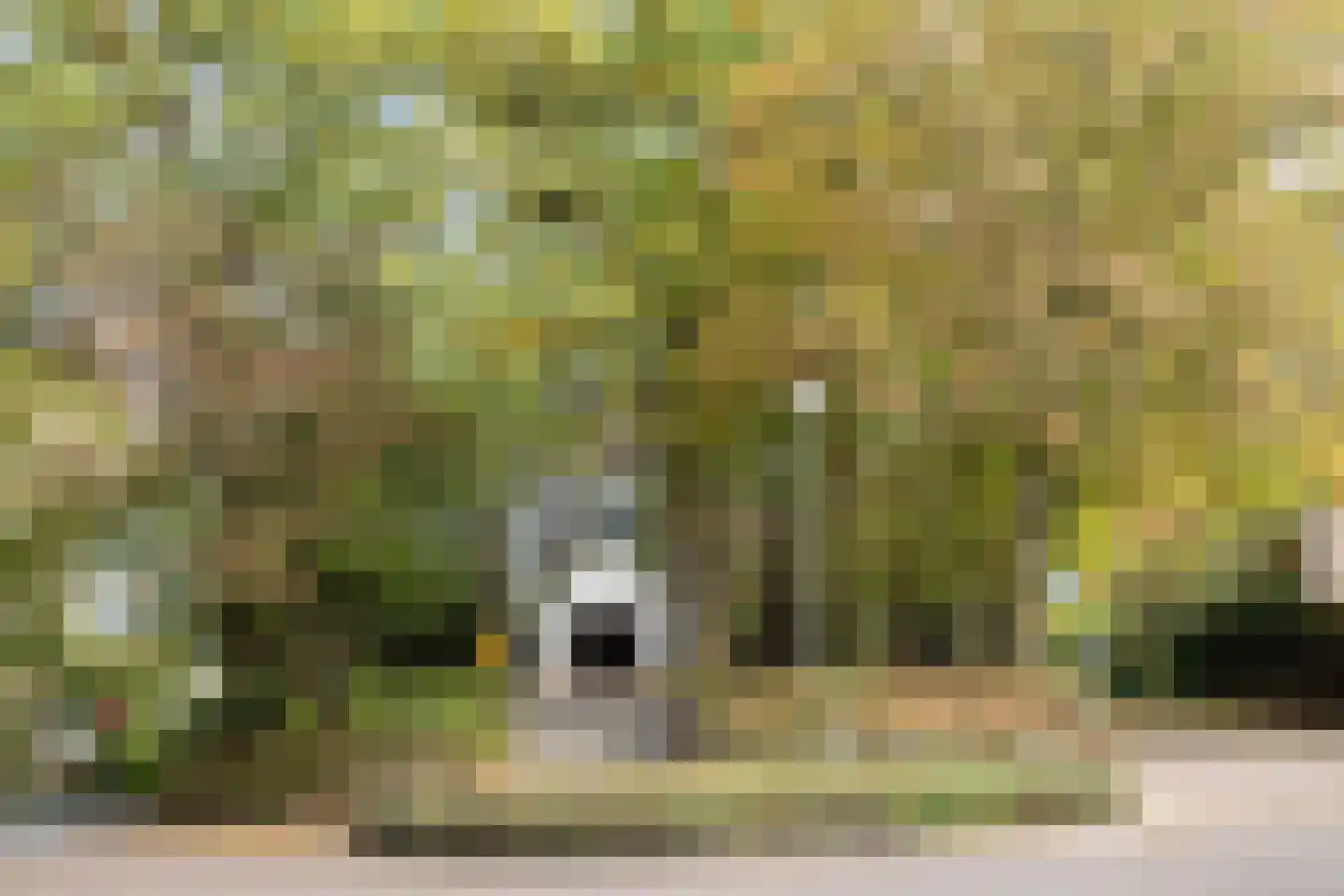 Mgr.Nolensplein 10 Eygelshoven thumbnail 32