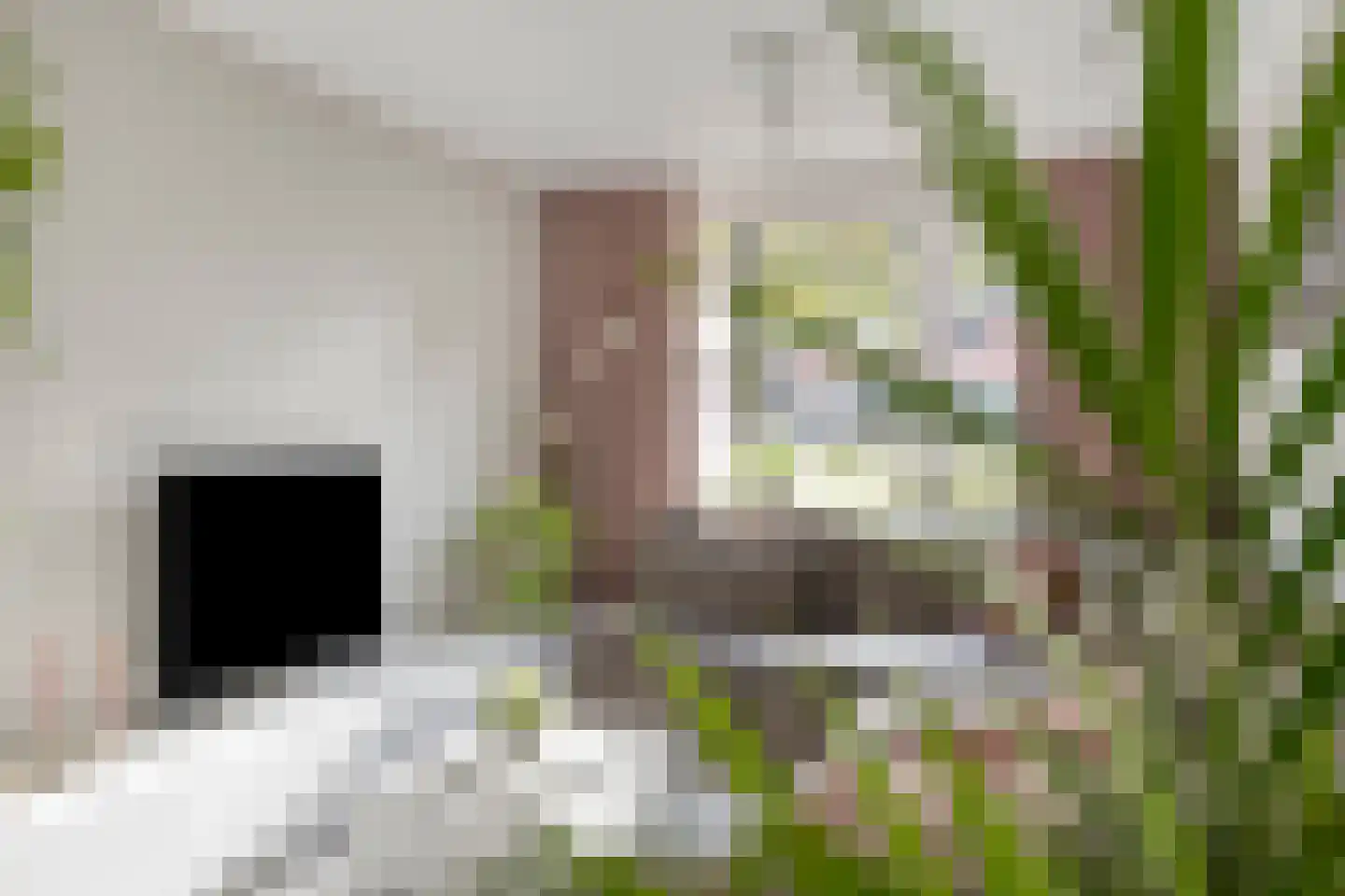 Mgr.Nolensplein 10 Eygelshoven thumbnail 9