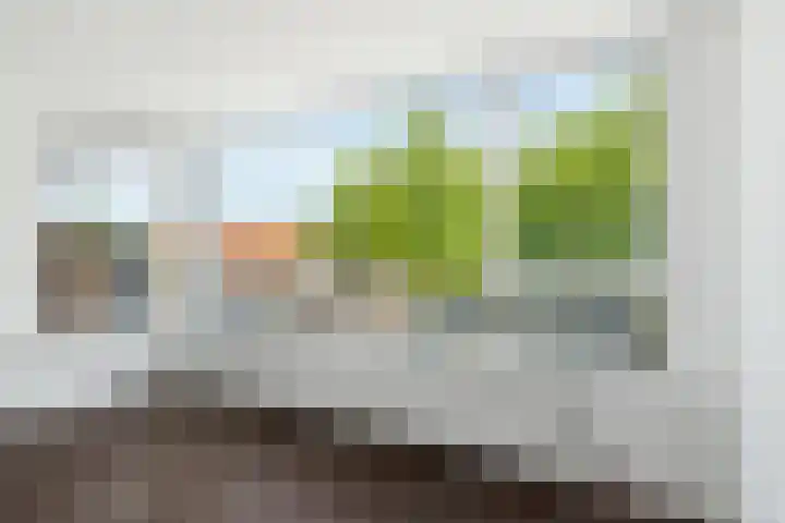 Mgr. Nolensplein 20 B1 Breda thumbnail 11