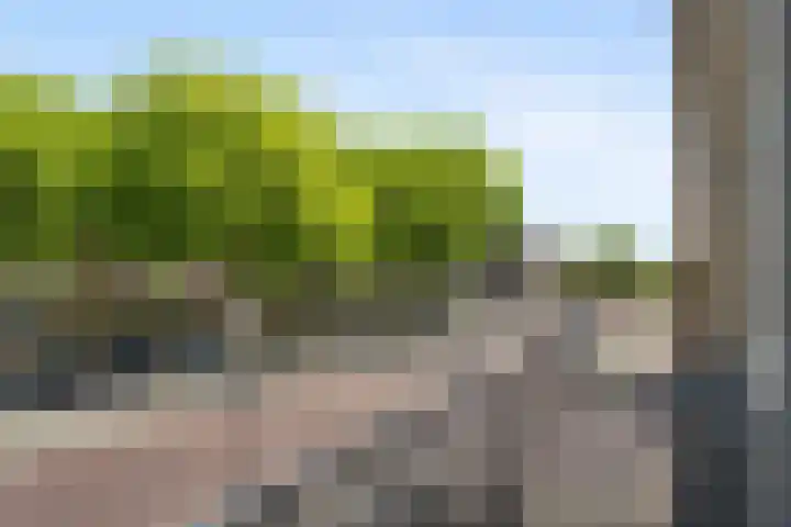 Mgr. Nolensplein 20 B1 Breda thumbnail 22