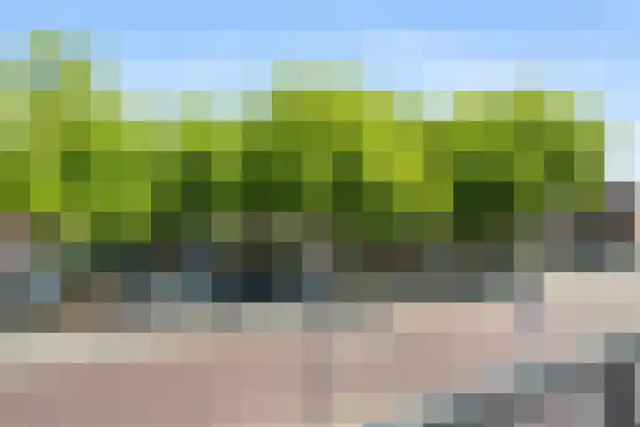 Mgr. Nolensplein 20 B1 Breda thumbnail 23