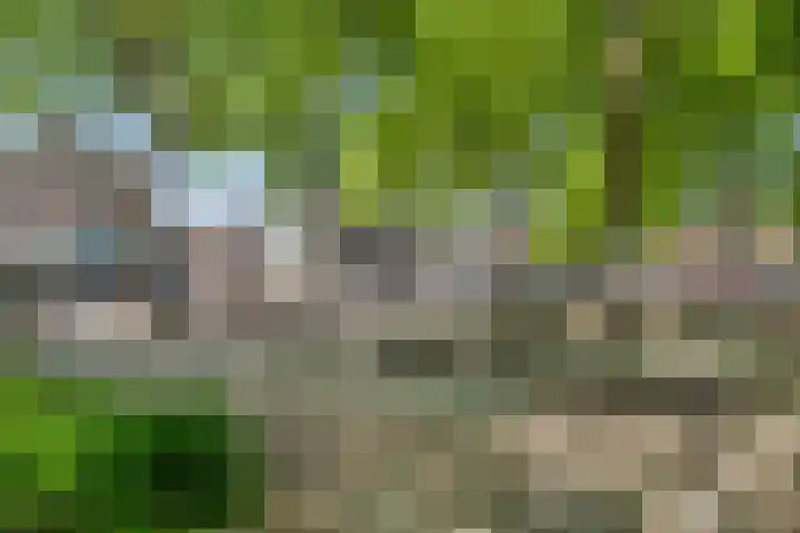 Mgr. Nolensplein 20 B1 Breda thumbnail 34