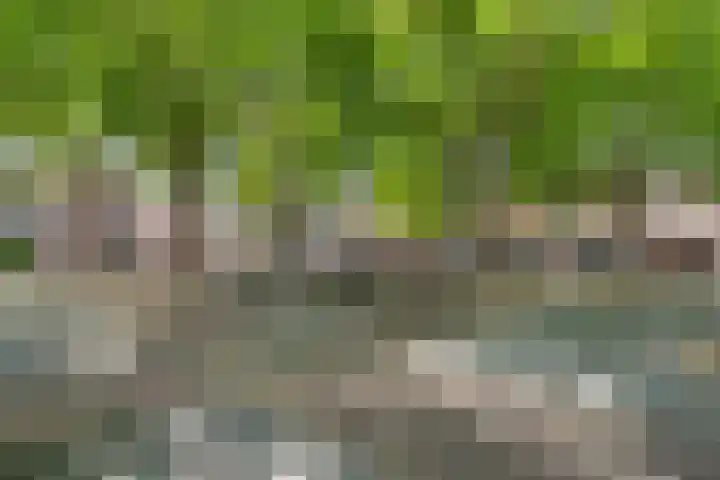 Mgr. Nolensplein 20 B1 Breda thumbnail 35