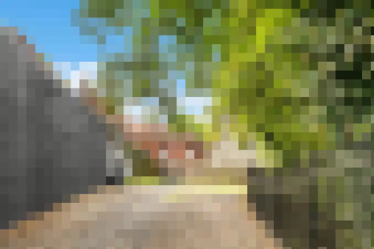 Mgr.Nolensplein 20 Eygelshoven thumbnail 23