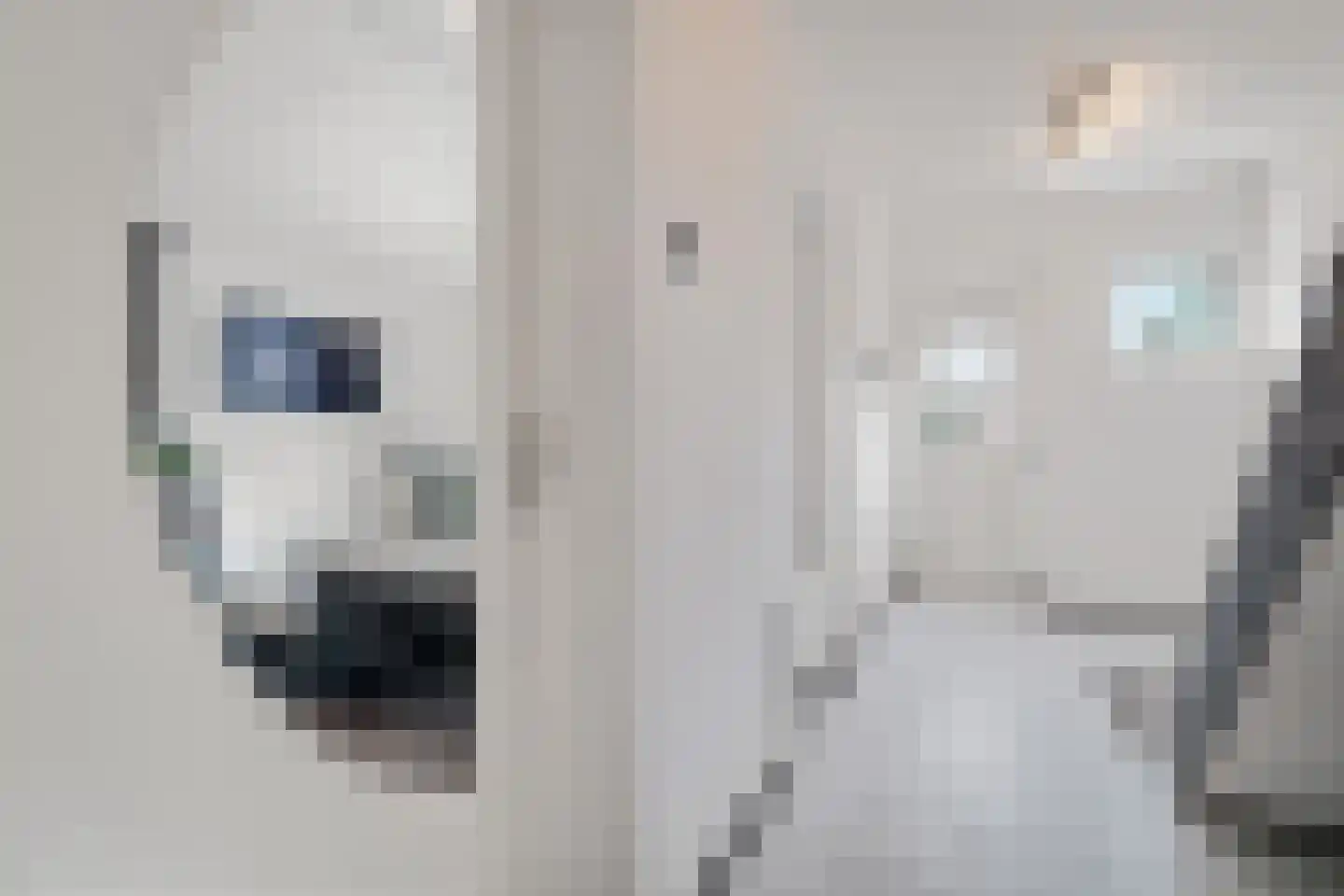 Mgr.Nolensplein 20 Eygelshoven thumbnail 5