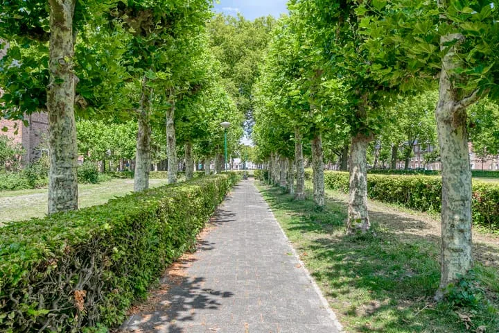 Mgr. Nolensplein 21 B1 Breda thumbnail 29
