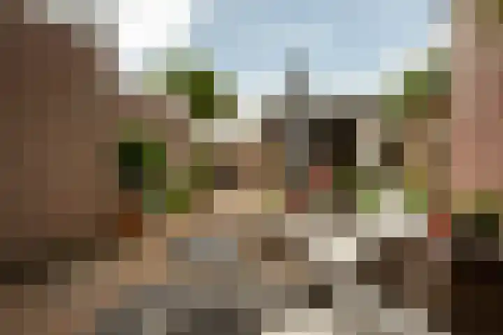 Mgr Nolensstraat 12 Hoogerheide thumbnail 32