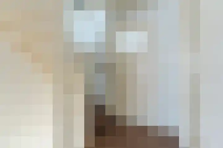 Mgr. Nolensstraat 19 Valkenswaard thumbnail 30