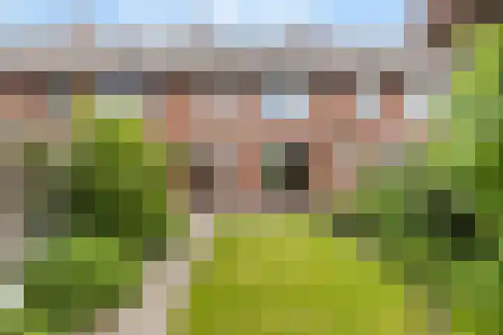 Mgr. Nolensstraat 3 Valkenswaard thumbnail 20