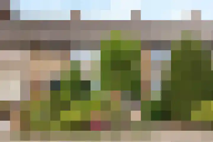 Mgr. Nolensstraat 3 Valkenswaard thumbnail 27
