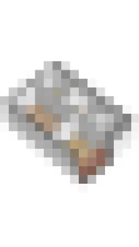 Mgr. Noordmanlaan 13 B De Kwakel thumbnail 31