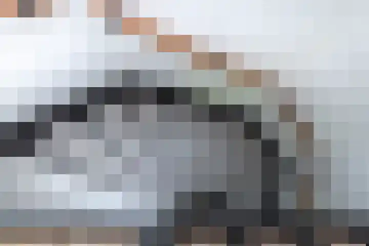 Mgr P.J. Willekenslaan 133 Rijswijk thumbnail 30